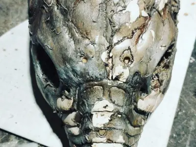 skull space jockey 3D print model