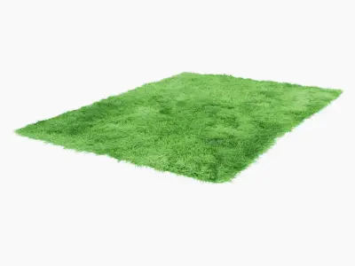 Fuleri green carpet 3D model