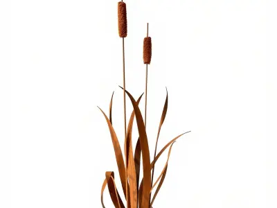 Cattail Plant Model Pack for Environments and Games Low-poly 3D model