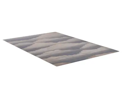 Olympus RUG 3D model