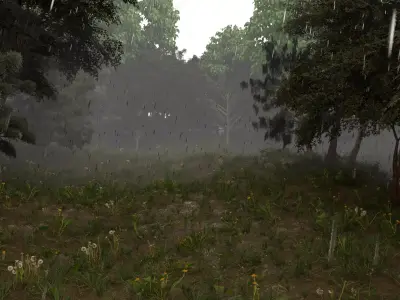 Realistic animated rainy forest 3D model