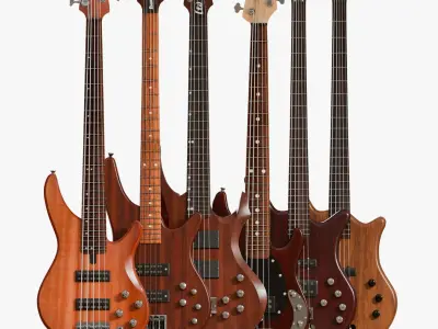  Professional Bass Guitar Collection 6 High End PBR Models 