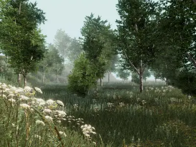 Birch forest pack for Unity Low-poly 3D model