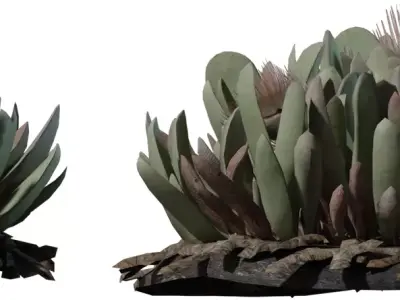 Stylized Desert Succulent Clump Pack Low-poly 3D model