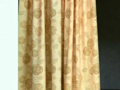 Flower pattern curtains full window   Free 3D model