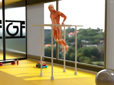  Anatomy Male Muscular System Chest Dip Animated Rigged for Maya 