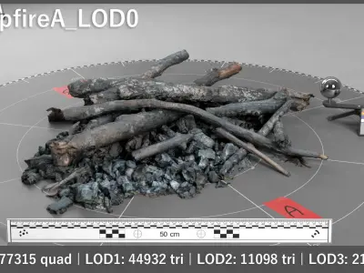 CampfireScan Pack Low-poly 3D model