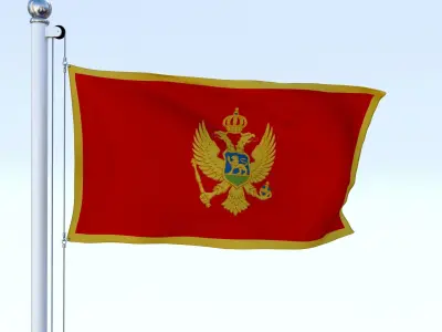 Animated Montenegro Flag Low-poly 3D model
