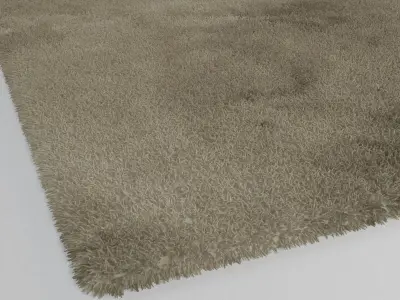 Floor Rug 3D model