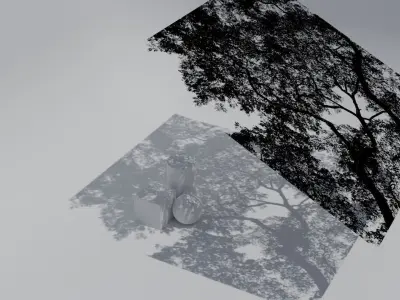 Tree Canopy GOBO Pack Animated and Stills Texture