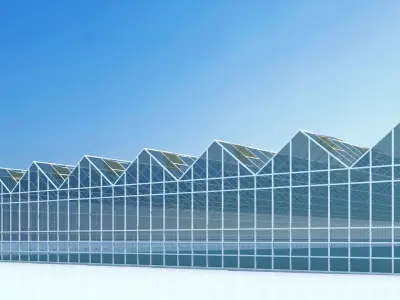 Greenhouse glass  3D model