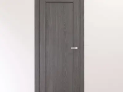 Modern interior gray oak solid door 3D model