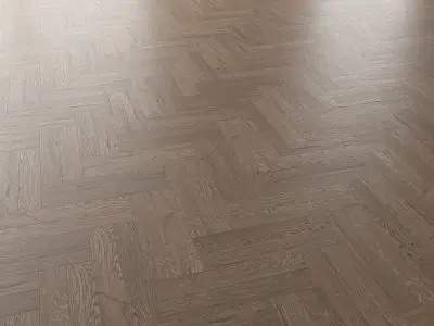  Parquet Oak Missisippi WWL set 2 3D model