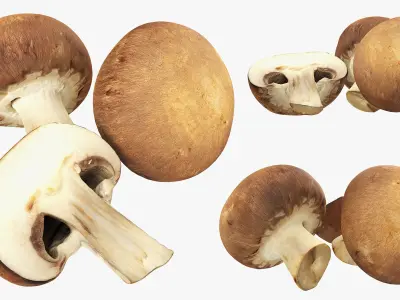  3D Photogrammetry Food Bundle 05 