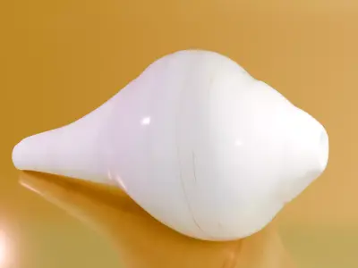 Shankh Architectural Decoration Low-poly 3D model