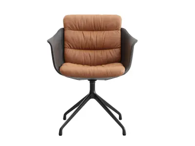 DS 525 02 Tosca Armchair 3D model