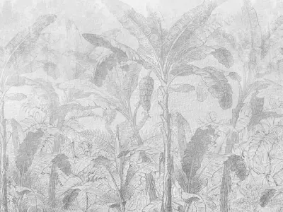 Tropical Mist Canopy Texture