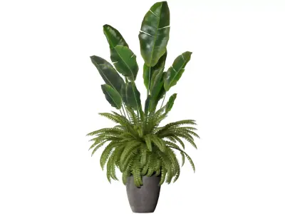 Fern in a pot 3D model