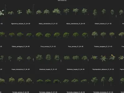 Maxtree Plant Models Vol 96 - Mesh 3D model