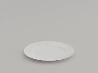 Ridges Lunch Plate Low-poly 3D model