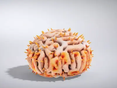 Vibrant Tubastraea Coral Colony Low-poly 3D model