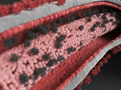 Ebola Virus 3D model