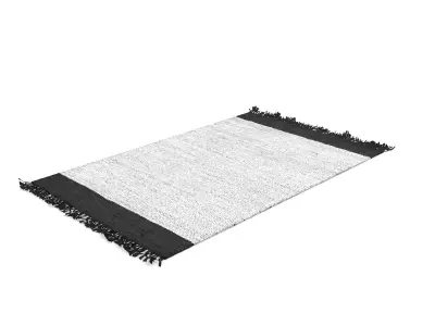 Handmade Otha Tassel Rug 5x8 Free 3D model