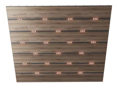 Wooden suspended ceiling with lighting 47 3D model