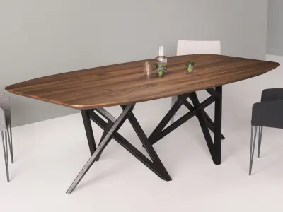Ennea Rectangular Dining Table 3D model