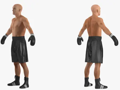  Male Boxer Figure Rigged 