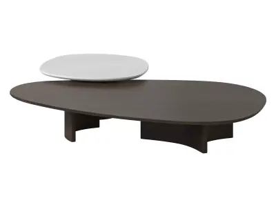 Lava Coffee Table 3D model