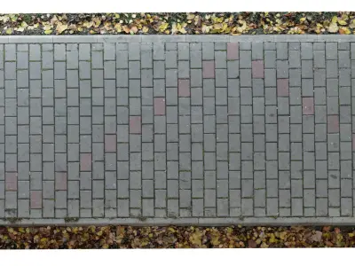 Stone Road Scan 3D model