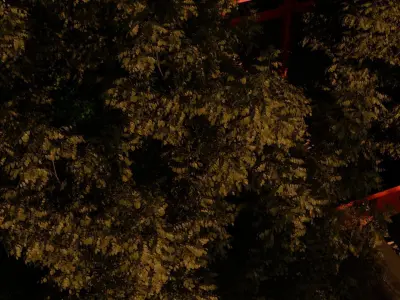 Japanese Torii Road 3D model