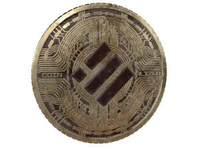 Binance USD Coin v5 004 3D model
