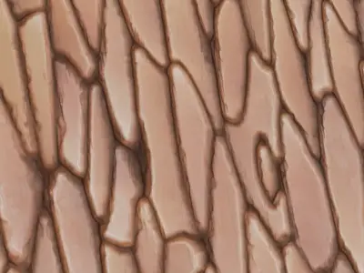 Stylized Layered Earth Stone Wall PBR Texture