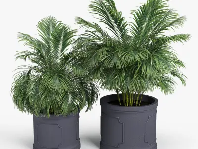 Birmingham Planter Palm 3D model
