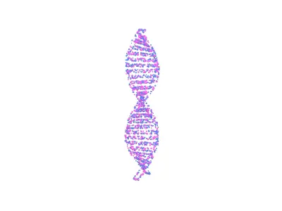 DNA Molecule v4 008 3D model