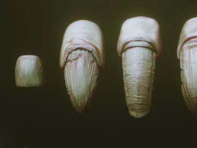 NAILS - 24 Character and Creature Nails 3D model