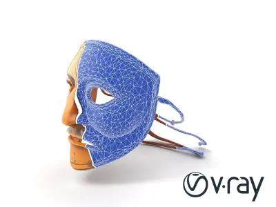 Ceremonial Ritual Mask Natural Design model pack Low-poly 3D model