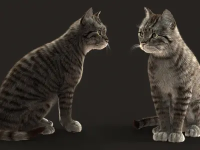  Cat (2) (Grey Tabby) (ANIMATED) (FUR) 