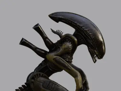 Alien - Xenomorph 3D model