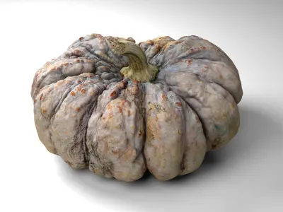 Warty Pumpkin - Photorealistic  Scan Low-poly 3D model