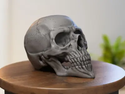 Skull Headphone Stand  Cyborg Headset Stand 3D print model