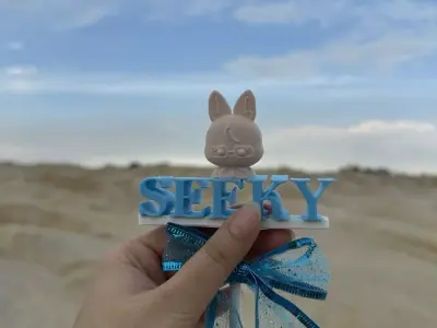 Seeky  Li Pei En support Stick - 3D Printable Free 3D print model