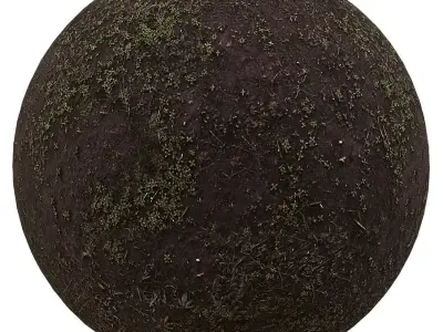 ground texture Texture