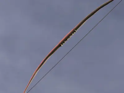 Samurai Bow 3D model