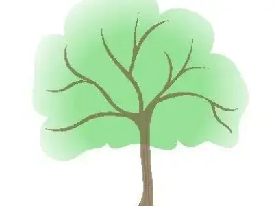3 CAD Deciduous Trees with top views and elevations DWG 3D model