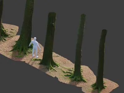 PBR 8x Beech Tree Trunk Real Scan Roots Collection Low-poly 3D model