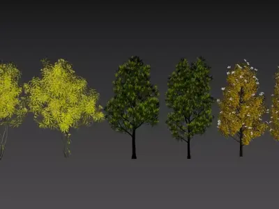 3D plant models 3D model