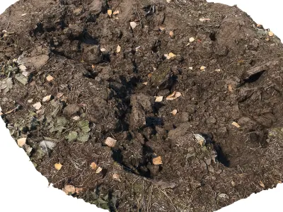 Ultra realistic Dirt pit Scan Low-poly 3D model